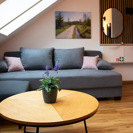 Neu! 9,8 Aussergewoehnlich Bergblick Mit Balkon Boxspringbett Kaffeevollautomat Inkl Bettwaesche Handtuecher #Meenefewo De Bad Harzburg Exterior foto